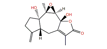 Menverin F